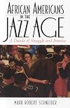 African Americans in the Jazz Age: A Decade of Struggle and Promise (The African American History Series)