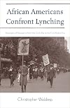 African Americans Confront Lynching: Strategies of Resistance from the Civil War to the Civil Rights Era (The African American History Series)