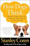 How Dogs Think: What the World Looks Like to Them and Why They Act the Way They Do
