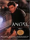 Angel: The Casefiles, Volume 1