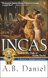 Incas : Book 3: The Light of Machu Picchu
