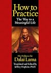 How to Practice : The Way to a Meaningful Life