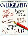 Calligraphy: From Beginner to Expert (An Usborne Guide)