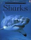 Sharks (Usborne Discovery)
