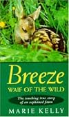 Breeze - Waif of the Wild