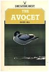 The Avocet (Shire Natural History)