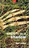 Suddenly as a Shadow
