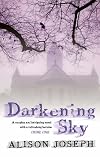 Darkening Sky