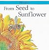 From Seed to Sunflower Hb (Lifecycles (Big Books))