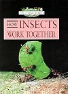 How Insects Work Together (Nature's Mysteries)