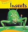 Insects (Variety of Life)
