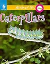 Caterpillars (Minipets)
