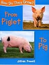 From Piglet to Pig (How Do They Grow?)