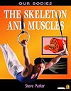 The Skeleton and Muscles (Our Bodies)