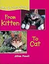 From Kitten to Cat (How Do They Grow?)