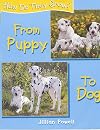 From Puppy to Dog (How Do They Grow?)