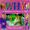 Why is Mummy's Tummy So Big? (Why Books)
