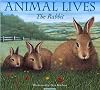 The Rabbit (Animal Lives)