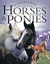 Horses & Ponies (Kingfisher Riding Club)