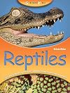 Science Kids Reptiles