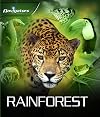 Navigators: Rainforest