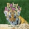 Baby Animals In the Jungle