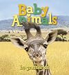 Baby Animals In Grasslands