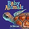 Baby Animals In the Sea