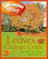 I Wonder Why Leaves Change Color and Other Questions About Plants