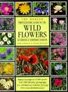 Field Guide to Wild Flowers of Britain and Northern Europe