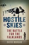Hostile Skies