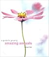 A Guide to Growing Amazing Annuals