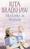 Skylarks at Sunset