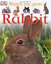 Rabbit (Watch Me Grow)