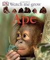 Ape (Watch Me Grow)