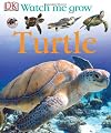 Turtle (Watch Me Grow)