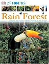Rain Forest (24 Hours)