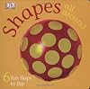 Shapes All Around (Fun Flaps)