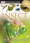 Insect (Eyewitness Video)