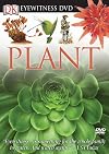 Plant (Eyewitness Video)
