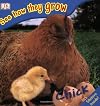 See How They Grow: Chick