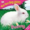 Rabbit: 9 (See How They Grow Series)