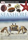 Seashore (Eyewitness Video)