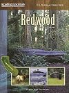 Redwood (Reading Essentials in Social Studies)