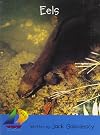 Eels (Rigby Sails Early)