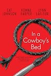 In a Cowboy's Bed