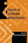 Theory in Economic Anthropology (Society for Economic Anthropology Monograph Series)