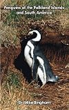 Penguins of the Falkland Islands and South America