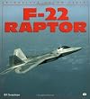 F-22 Raptor