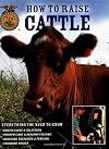 How To Raise Cattle: Everything You Need To Know